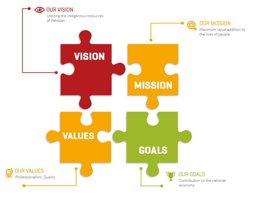 Vision Mission Values & Goals